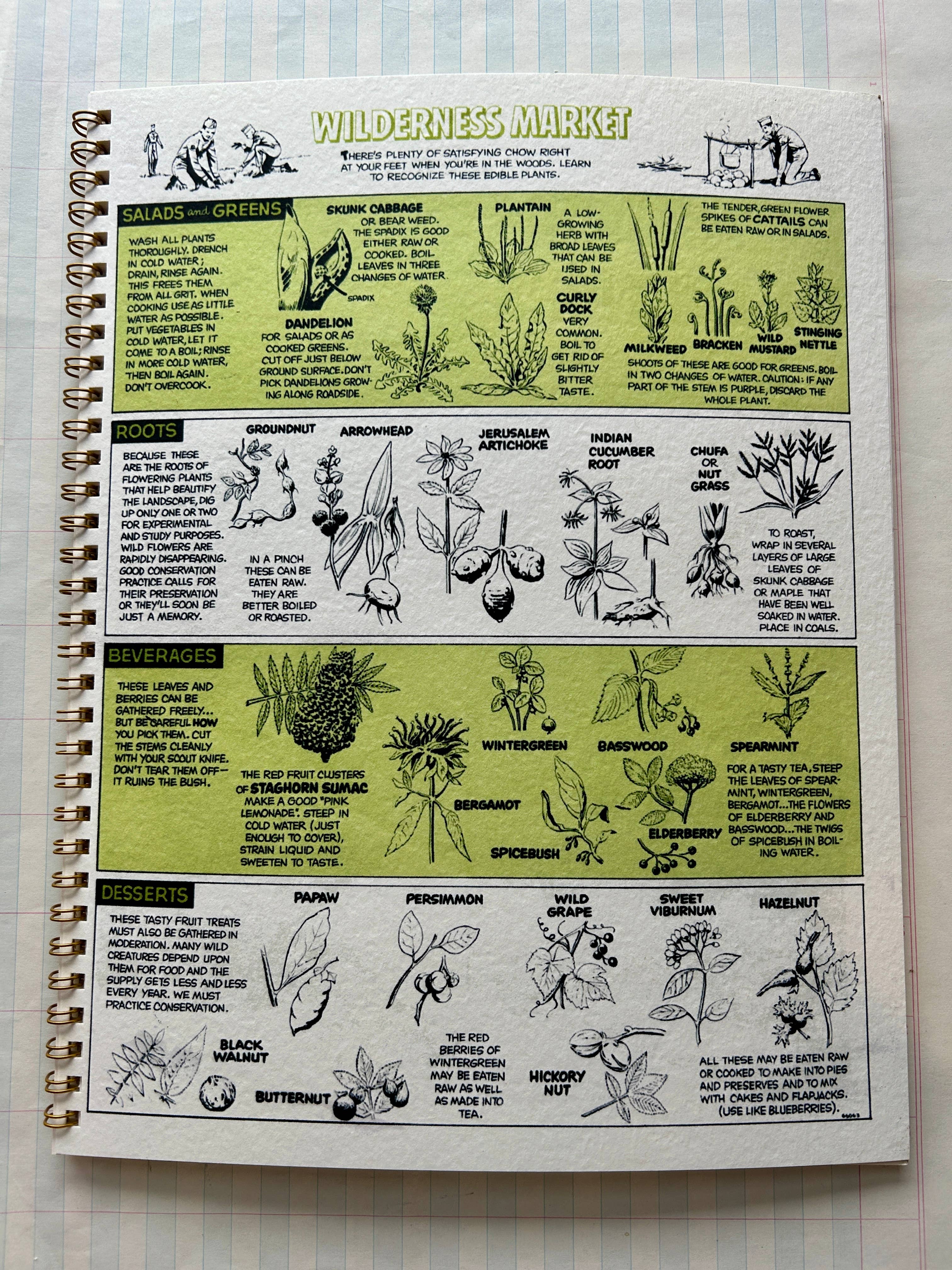 Parcel - Wholesale Notebook - Nature Guides Notebook 3