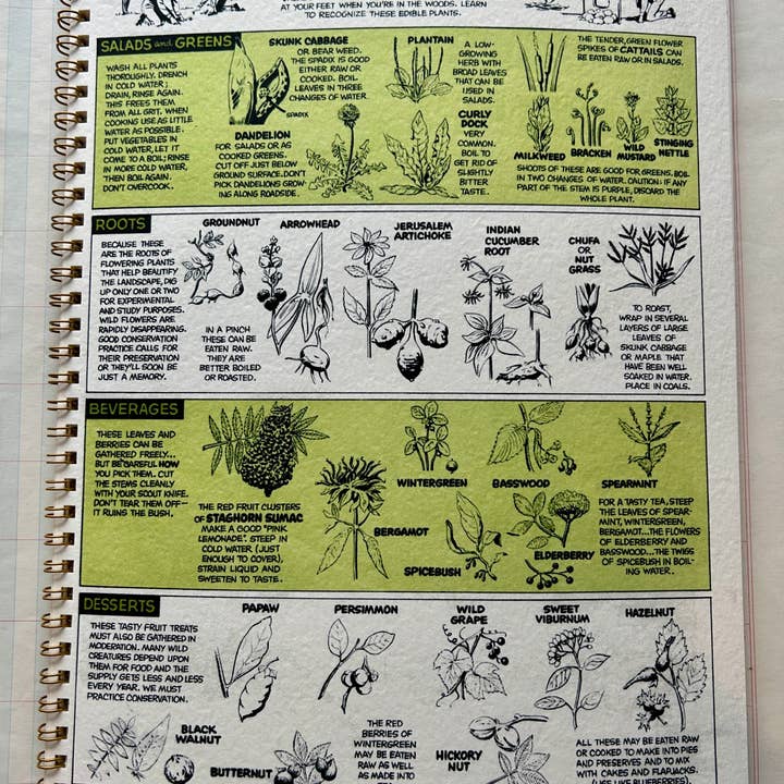 Parcel - Wholesale Notebook - Nature Guides Notebook 4
