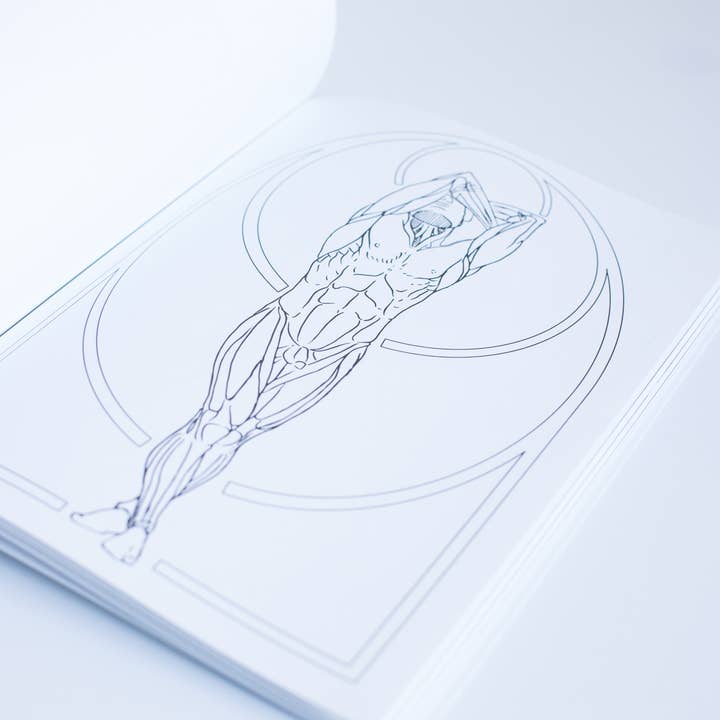 Blue Star Press - Wholesale Coloring Book - Adult - Form: Anatomy Coloring Book (Premium Coloring Book)