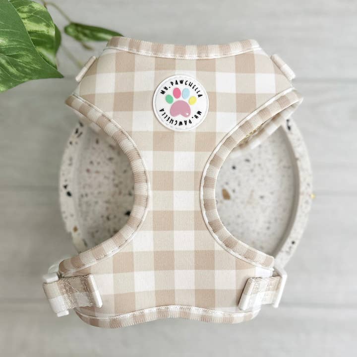 Harnais réglable - Noix de coco pour la vente par My Pawchella