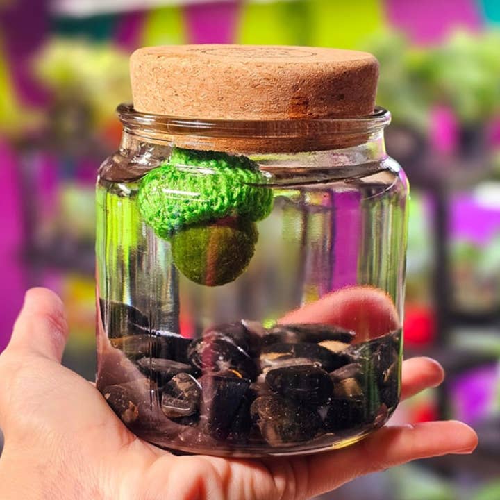 Large Marimo Marimo Moss Ball Terrarium with Obsidian Stones for wholesale by Moss Amigos | Moss Ball Terrariums