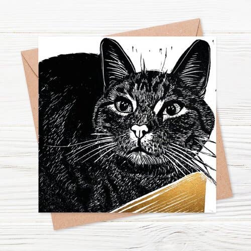 Zappa the Tabby Cat Everyday Greeting Card for wholesale by The Littlest Falcon