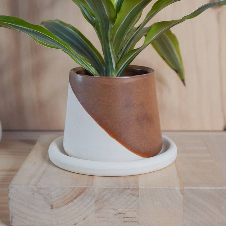 Shelby Page Ceramics - Wholesale Plant Pot - Small Planter with Tray - Core Glazes1