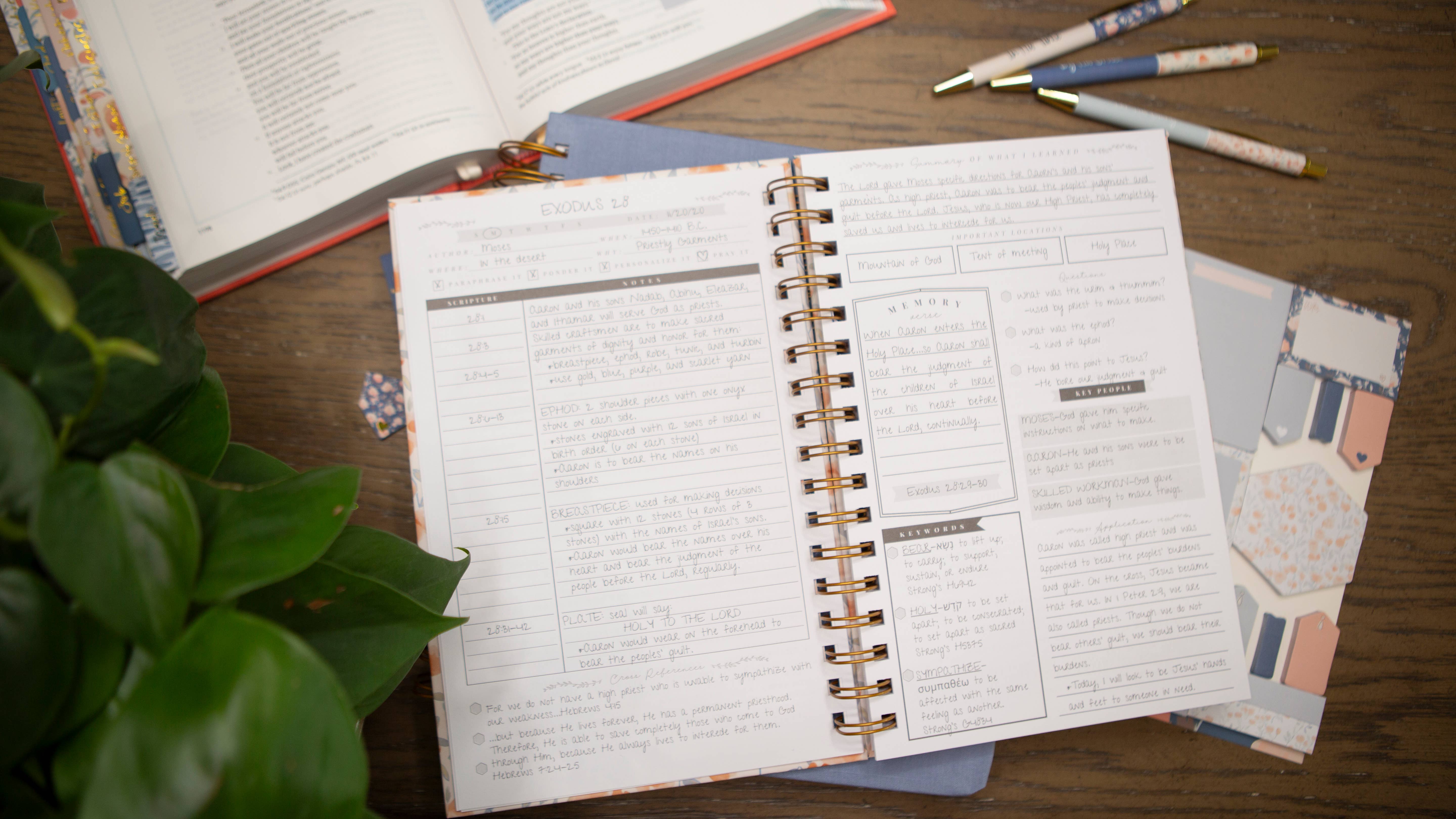 Chosen & Cherished - Wholesale Journal/Diary - Bible Study Journal | Verse Mapping Journal2