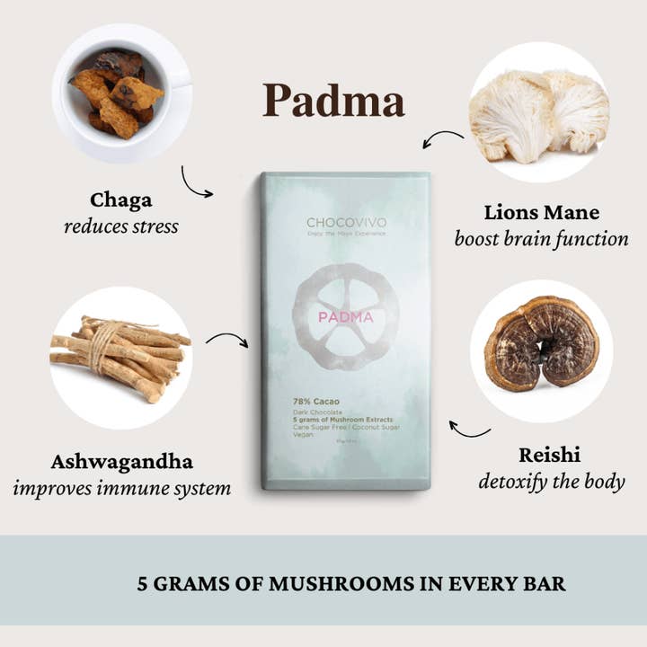 ChocoVivo - Wholesale Chocolate Bar - 78% Padma Cacao Dark Chocolate Bar
