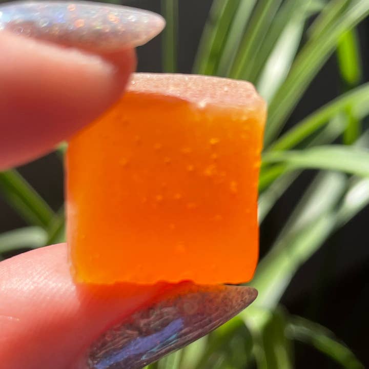 Glowshroom Apothecary - Wholesale Oral Supplement/Vitamin - Functional Mushroom Wellness Gummies3