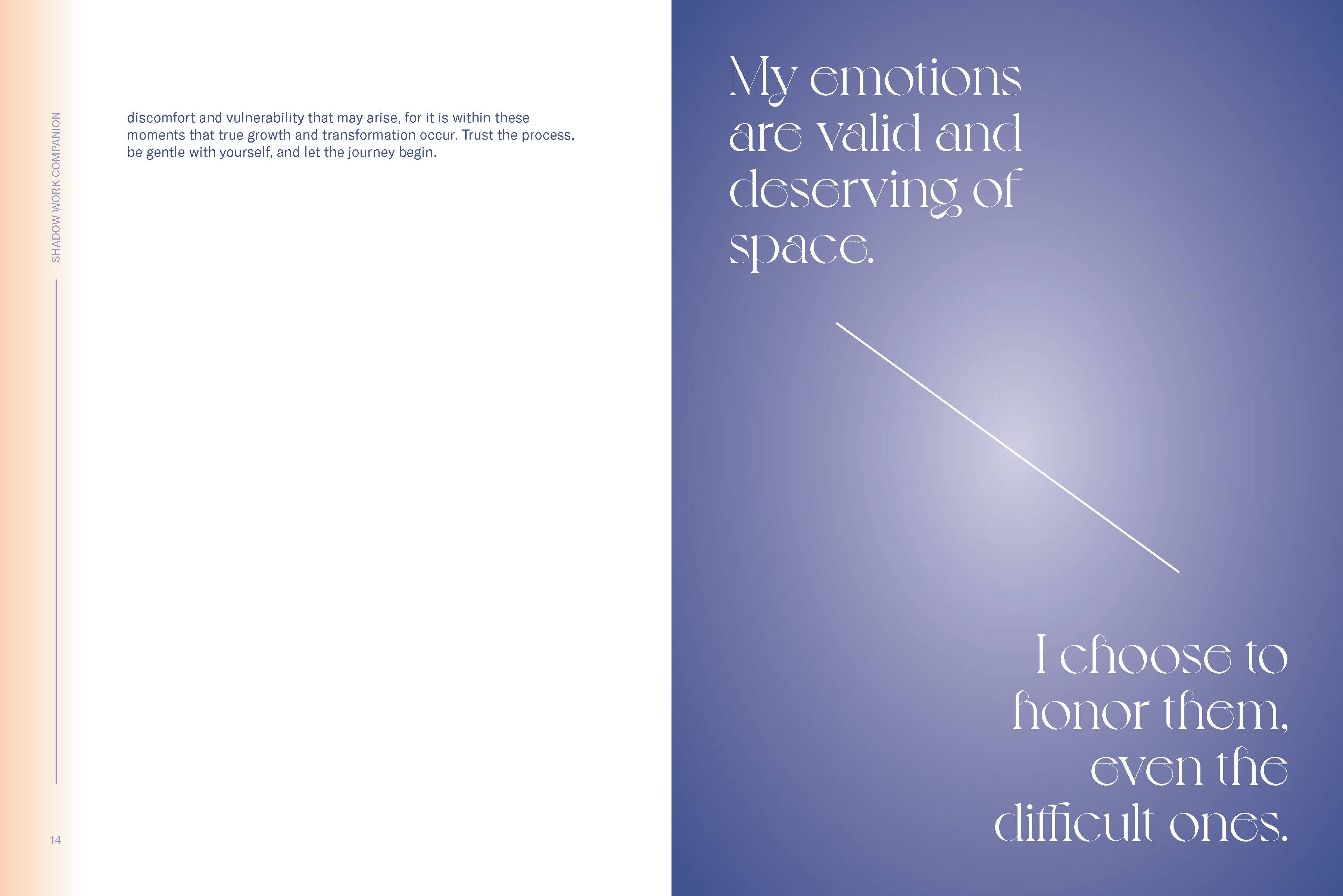 Chronicle Books - Wholesale Journal/Diary - Shadow Work Companion3