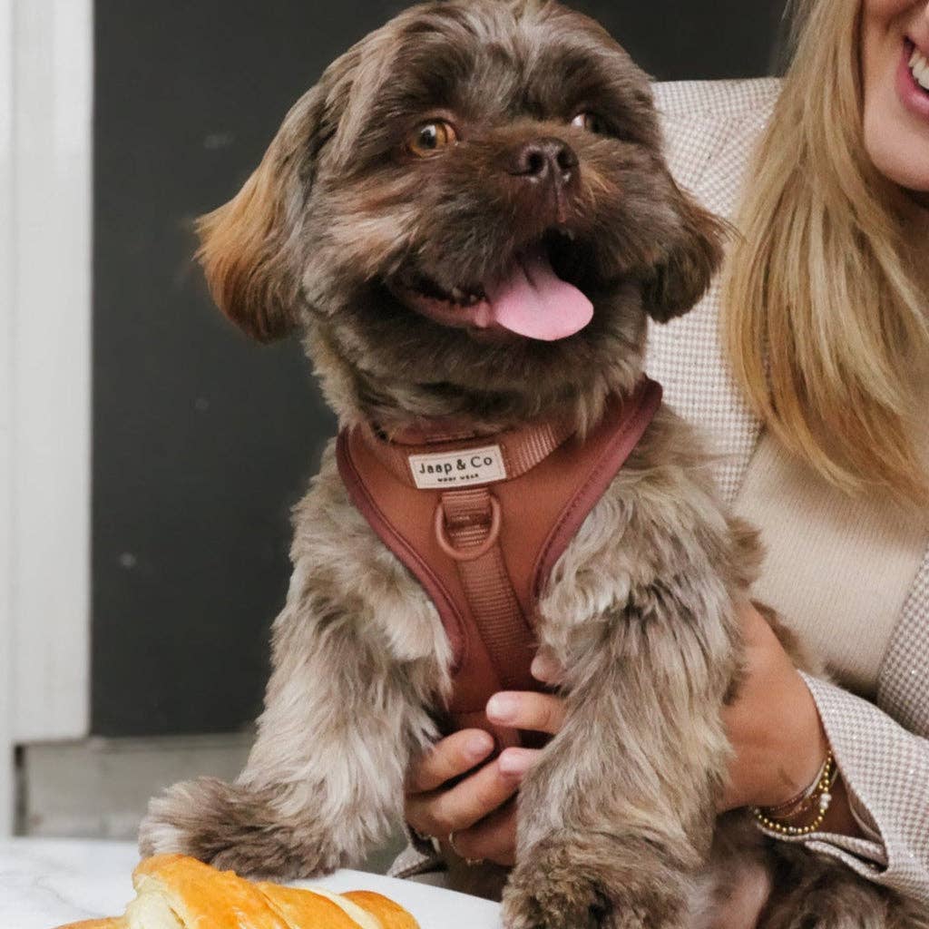 Jaap & Co - Woof Wear – wholesale Sele - Hund – Mocha Mousse Waterproof - Hundsele (STORLEK XS, S, M FÖRBESTÄLLNING)1