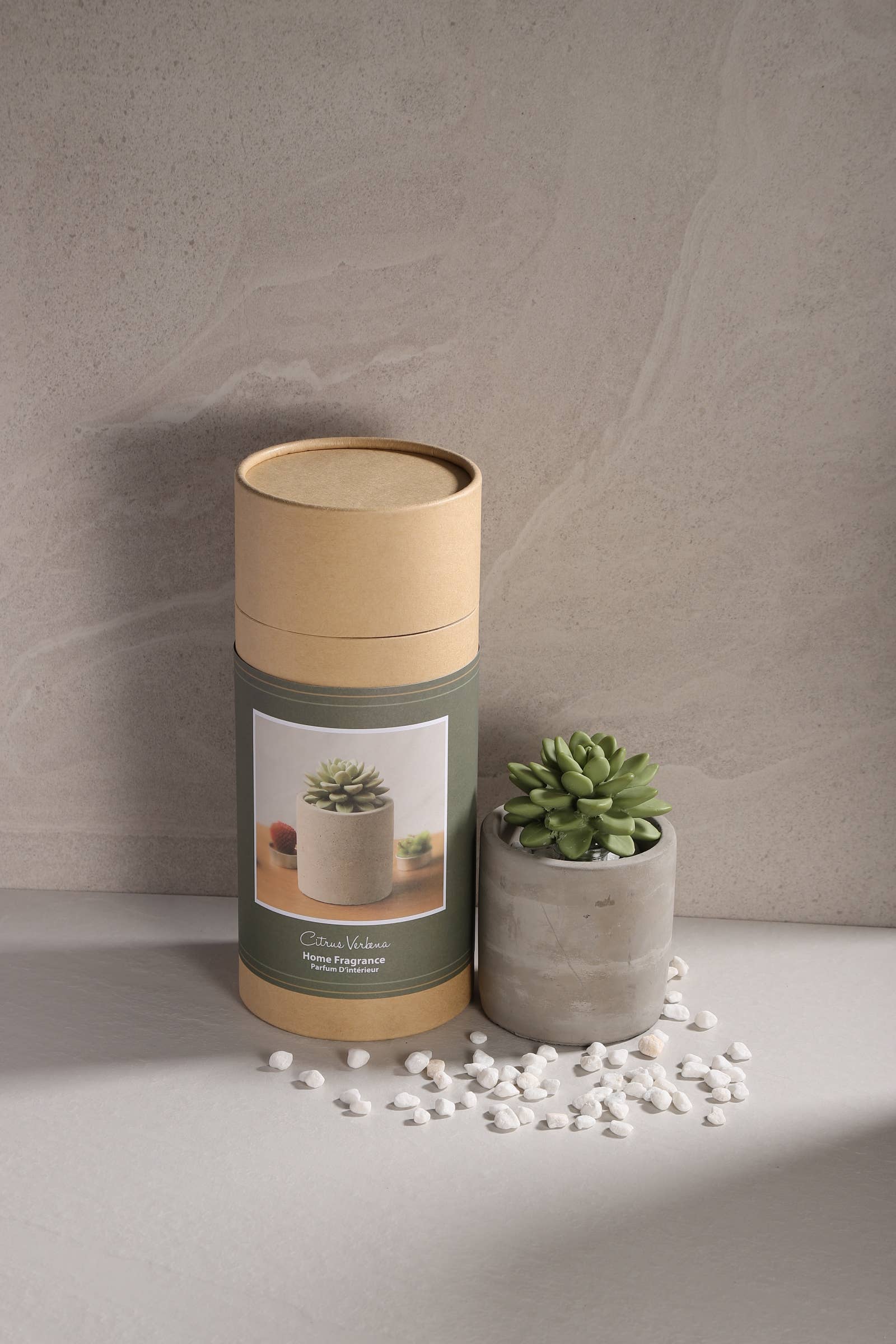 Pretty Valley Home - Wholesale Diffuser Fragrance Refill - Succulent in Planter Diffuser Gift Set for Home Decor3