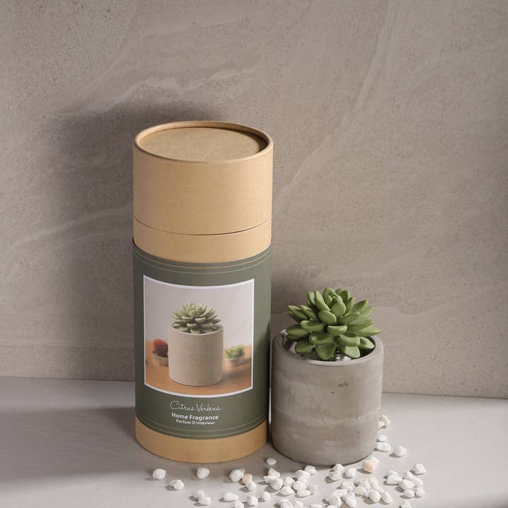 Pretty Valley Home – Großhandel Nachfüllung für Duftzerstäuber – Sukkulent im Pflanzgefäß Diffusor Geschenkset - Citrus Verbena1