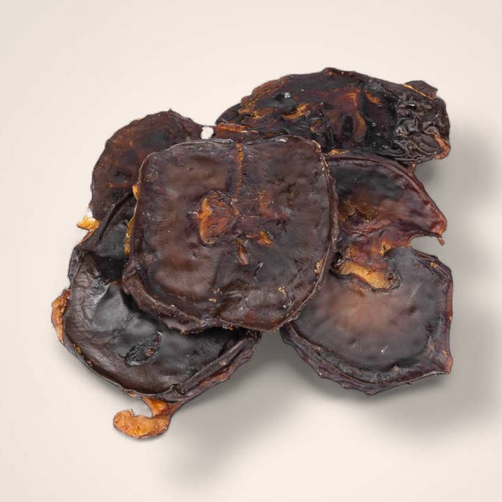 Reins de kangourou pour la vente par Woofing Wonders