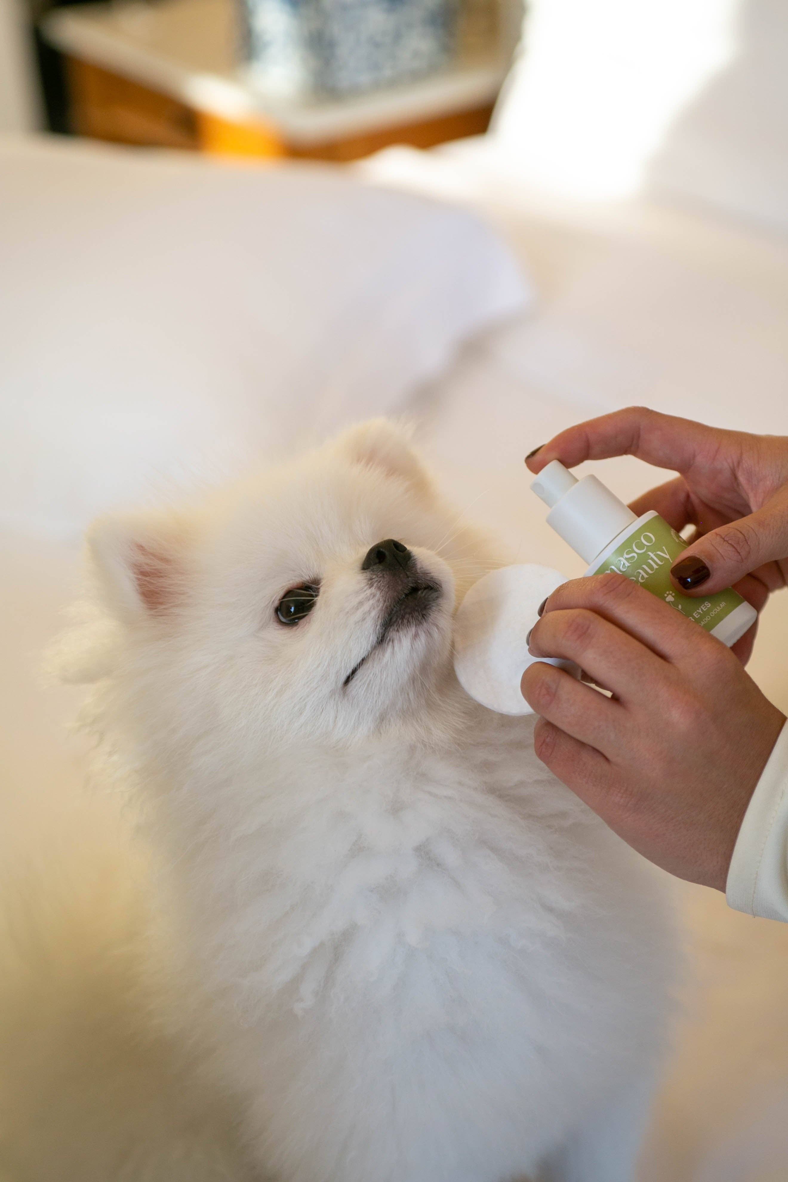 Masco Beauty – Produtos de higiene - Cão por atacado – Power Eyes - Limpador para Olhos de Pets2