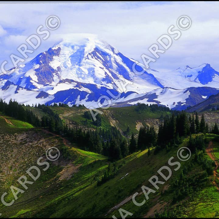 1028 - The High Road To Mt Baker for wholesale by Aqua Cards