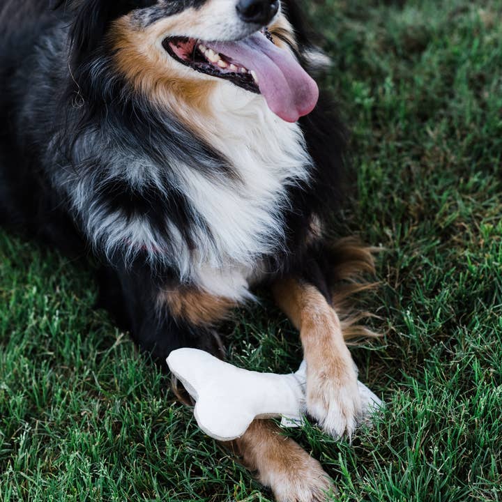 Blanquecino Juguete suave de peluche con huesos de perro para masticar delicadamente | Cáñamo y algodón de venta al por mayor en Faire3