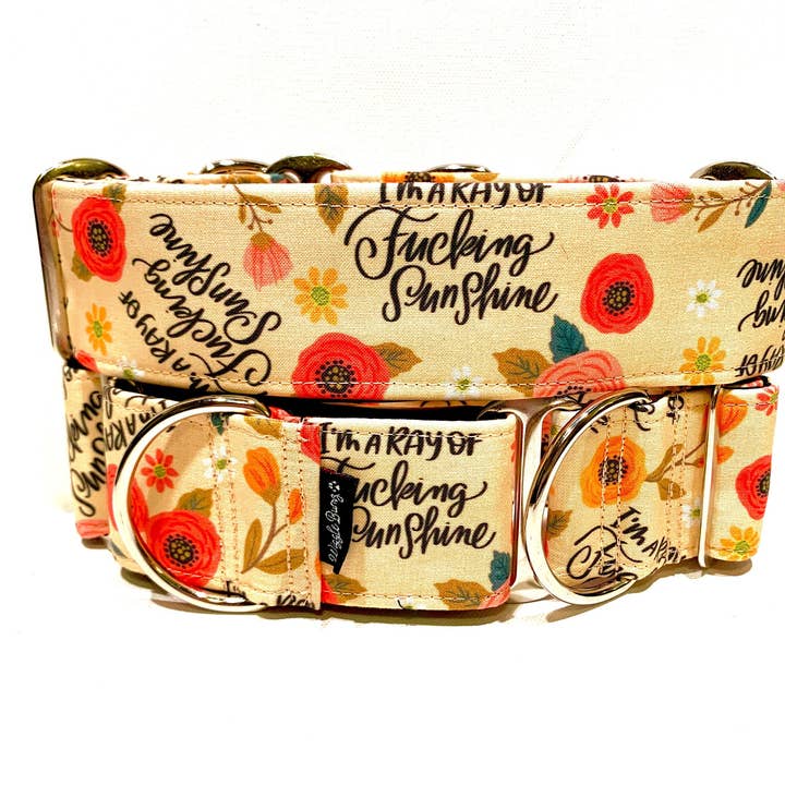 Collar para Perro Ray Of F#?king Sunshine para venta al por mayor de Wiggle Bumz