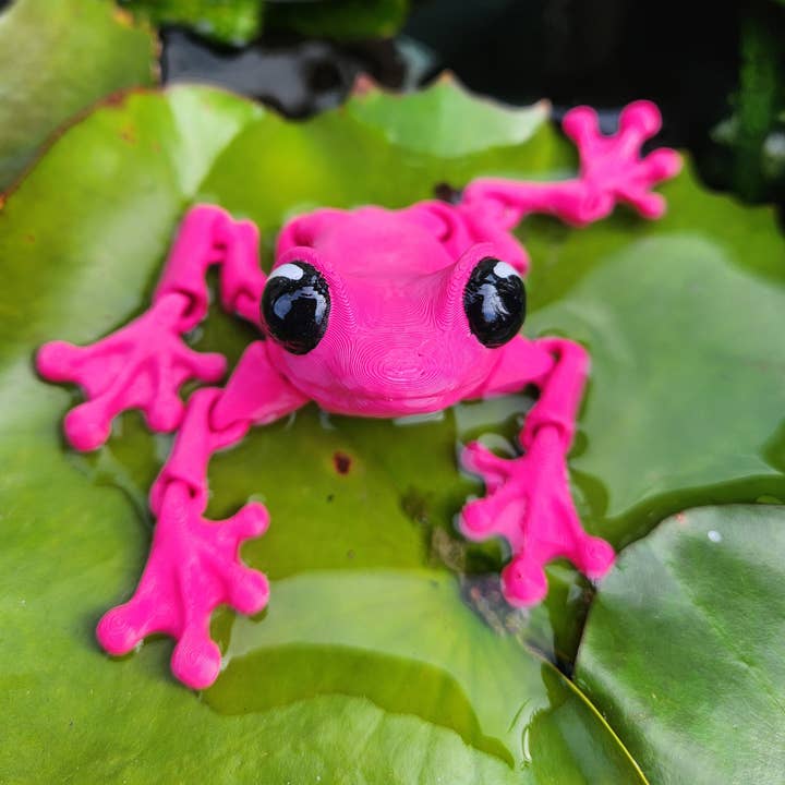 Froggy Friend - 3d Printed Fidget and other Purchase Wholesale 3d printed toys. Free Returns & Net 60 Terms on Faire trending on Faire.