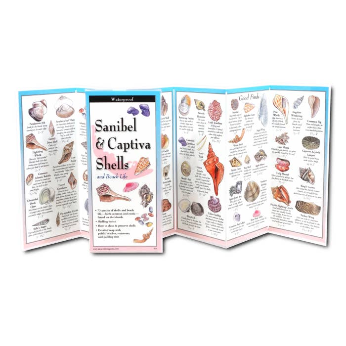 Earth Sky + Water - Wholesale Nature Guide - Sanibel & Captiva Shells & Beach Life