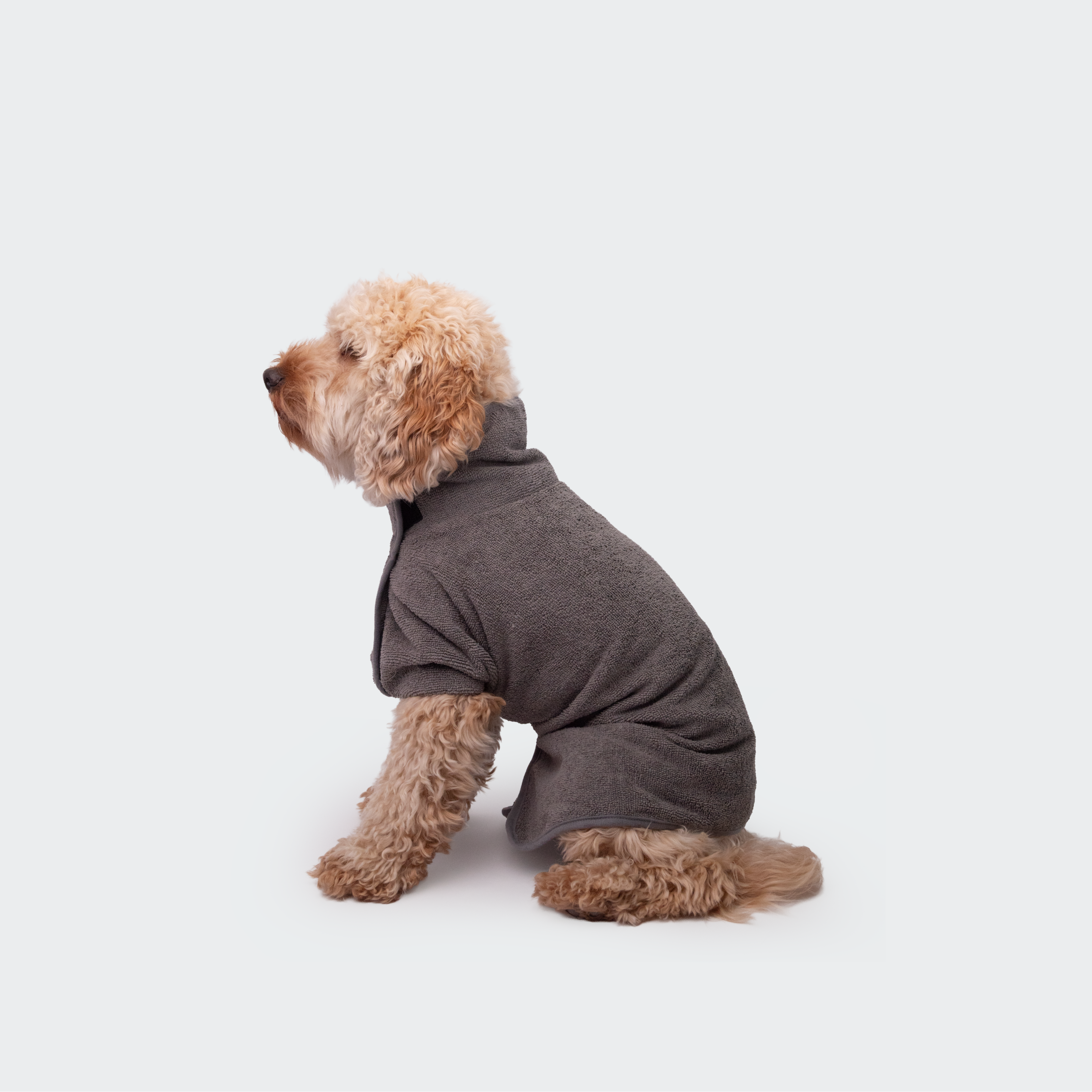 Trimmi – Engroshandel Håndklæde til kæledyr - Hund – Grå badekåbe til hund1