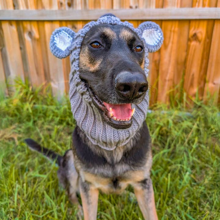 Zoo Snoods - Wholesale Pet Snood - Dog - Koala Dog Snood9