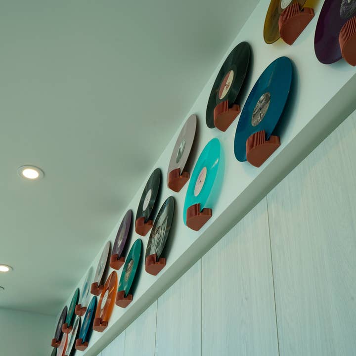 Rosebud Homegoods - Wholesale Wall Mounted Shelf - Modern Vinyl Record Wall Display Decor12