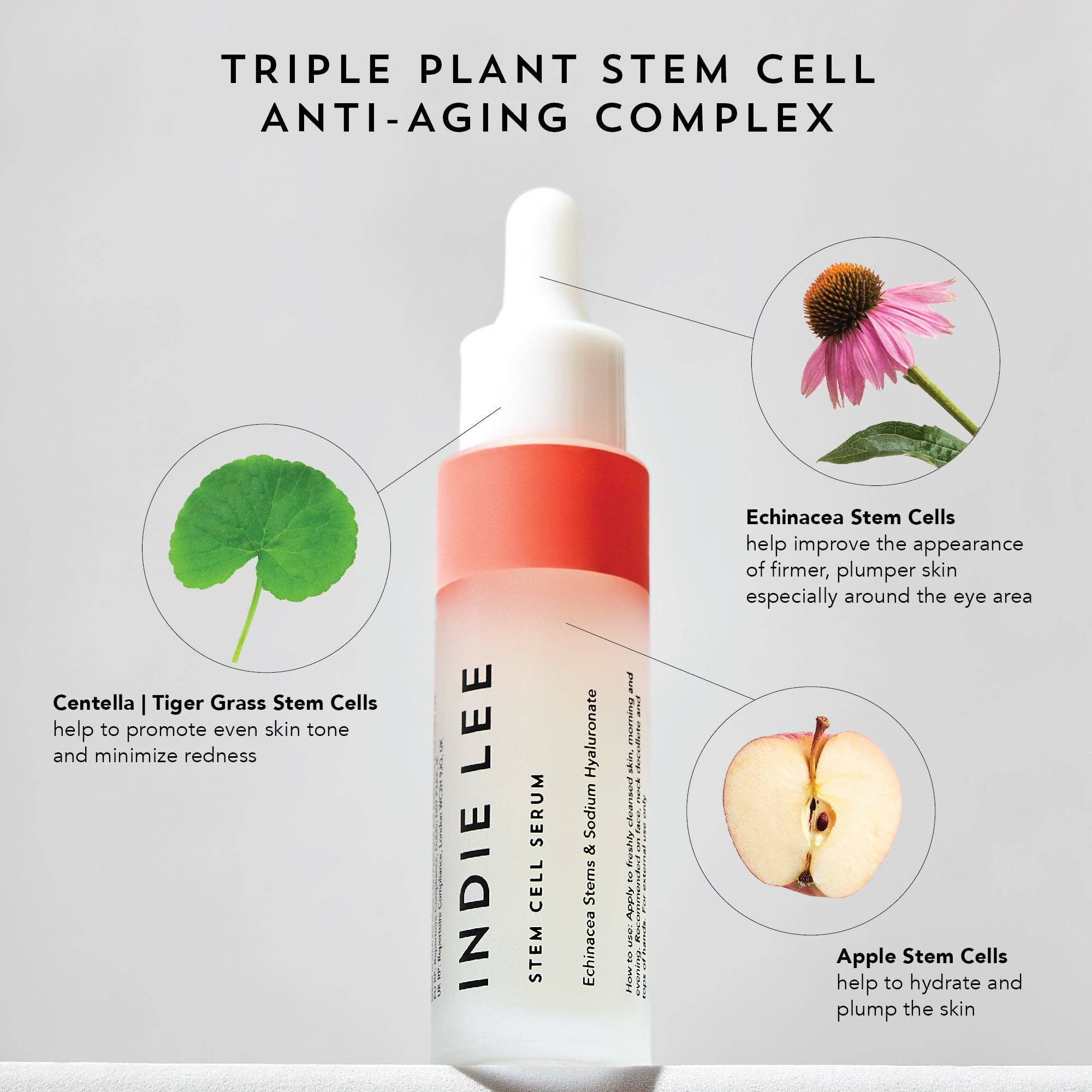 Indie Lee - Wholesale Facial Serum/Concentrate - Stem Cell Serum4