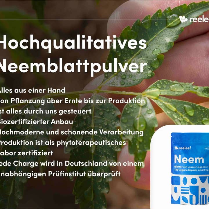reeleef - Wholesale Oral Supplement/Vitamin - Vegan neem capsules with pure, high-quality neem powder