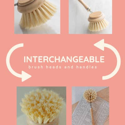 No Tox Life - Venta al por mayor Cepillos de limpieza - Cepillo para platos CASA AGAVE® con mango largo y cabezal reemplazable - No Tox Life2