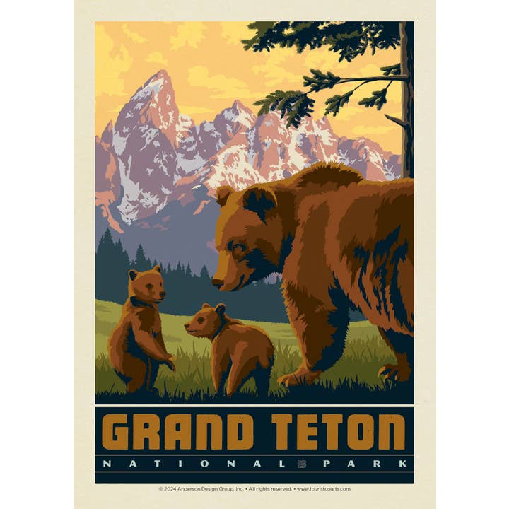 Wildlife Bears Grand Teton National Park Postcard for wholesale by Tourist Courts
