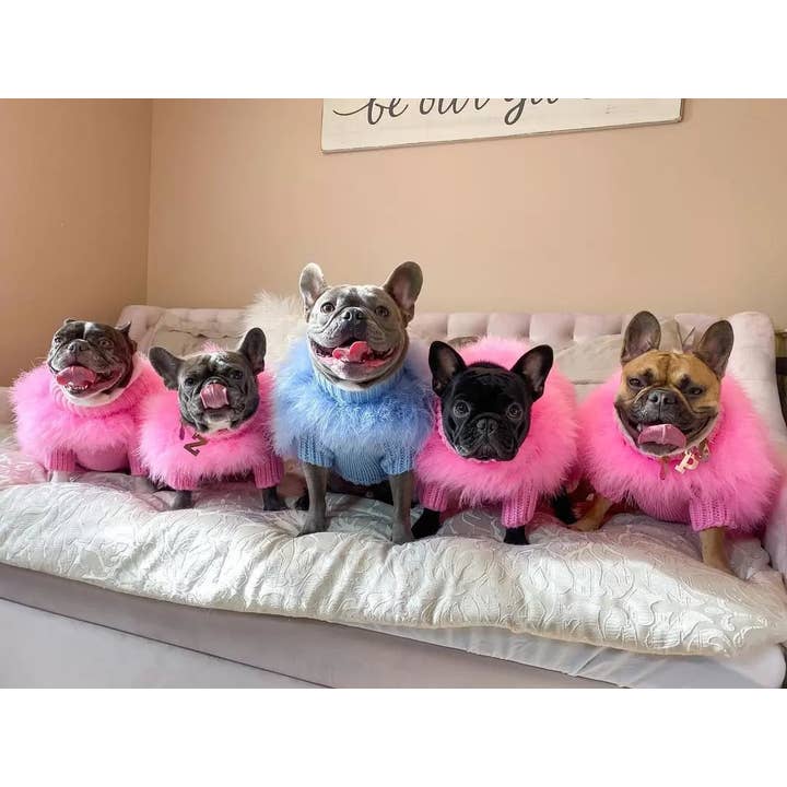 Furr-Baby Gifts - Wholesale Pet Sweater - Dog - Haute Couture Feathered Luxury Pet Sweater4