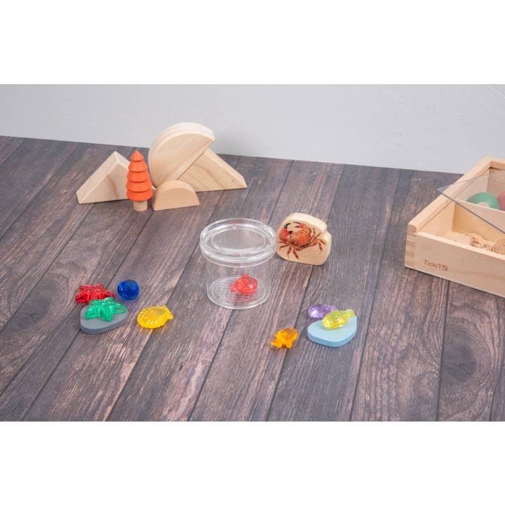 Commotion – wholesale Magnifying glass – Clear Bug Viewer - Translucent Colour Bug Viewers - Magnifier - Nature