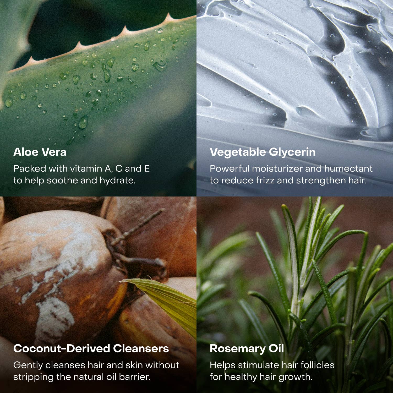 Everist - Wholesale Hair Shampoo - The Shampoo Concentrate Tin5