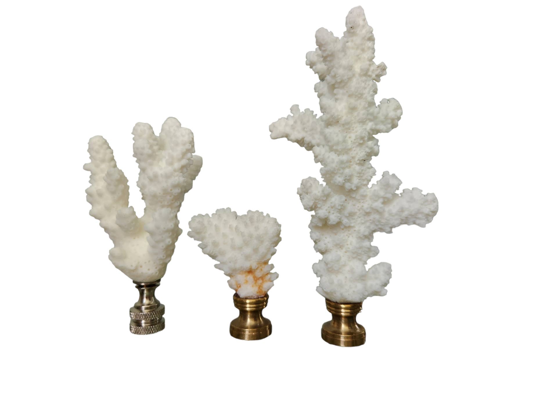 White Tulip Boutique – wholesale Decorative tabletop object – Coral Lamp Finial, Medium