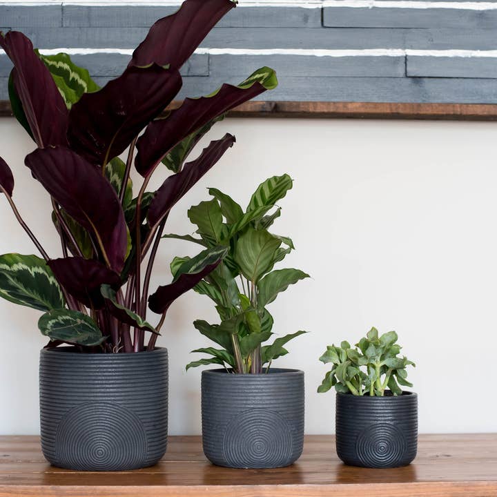 Made by Kippen - Wholesale Plant Pot - Scandi Style Planter-Now in 3 sizes!!