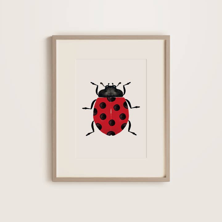 Rød mariehøne for engroshandel hos littlehoothoot