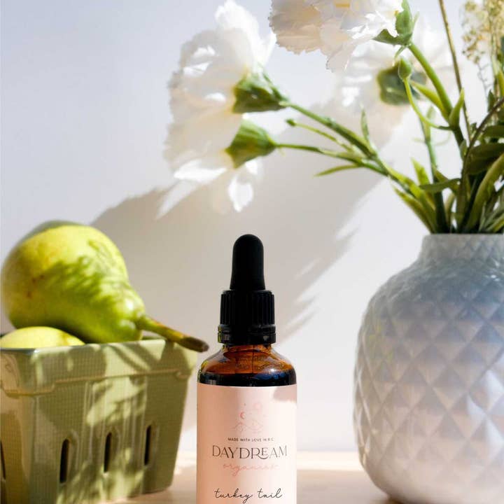 Daydream Organics | Prairie Doctor Brand - Wholesale Tincture - Turkey Tail Mushroom Tincture (Double Extracted)
