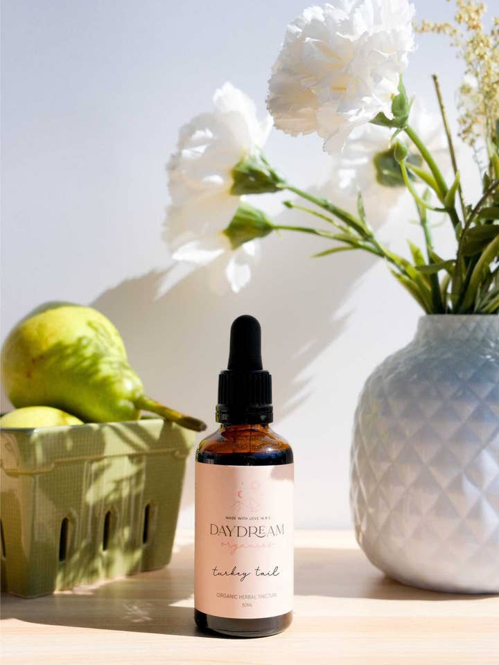 Teinture de champignons à queue de dinde (extraite deux fois) pour la vente par Daydream Organics | Prairie Doctor Brand