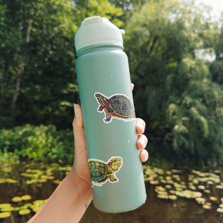 Wildship Studio - Wholesale Sticker - Painted Turtle Sticker2