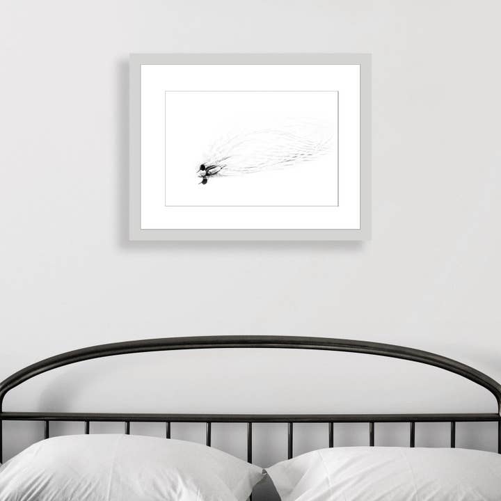 Brooke T Ryan Photographic Art - Wholesale Art Print - Black and White Merganser Print: Minimalist Cape Cod Art1