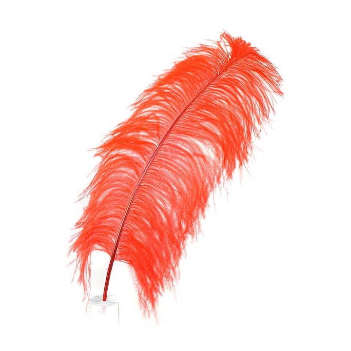 Large Ostrich Feathers - 20-25" Prime Femina Plumes - Red for wholesale by Zucker Feather Products