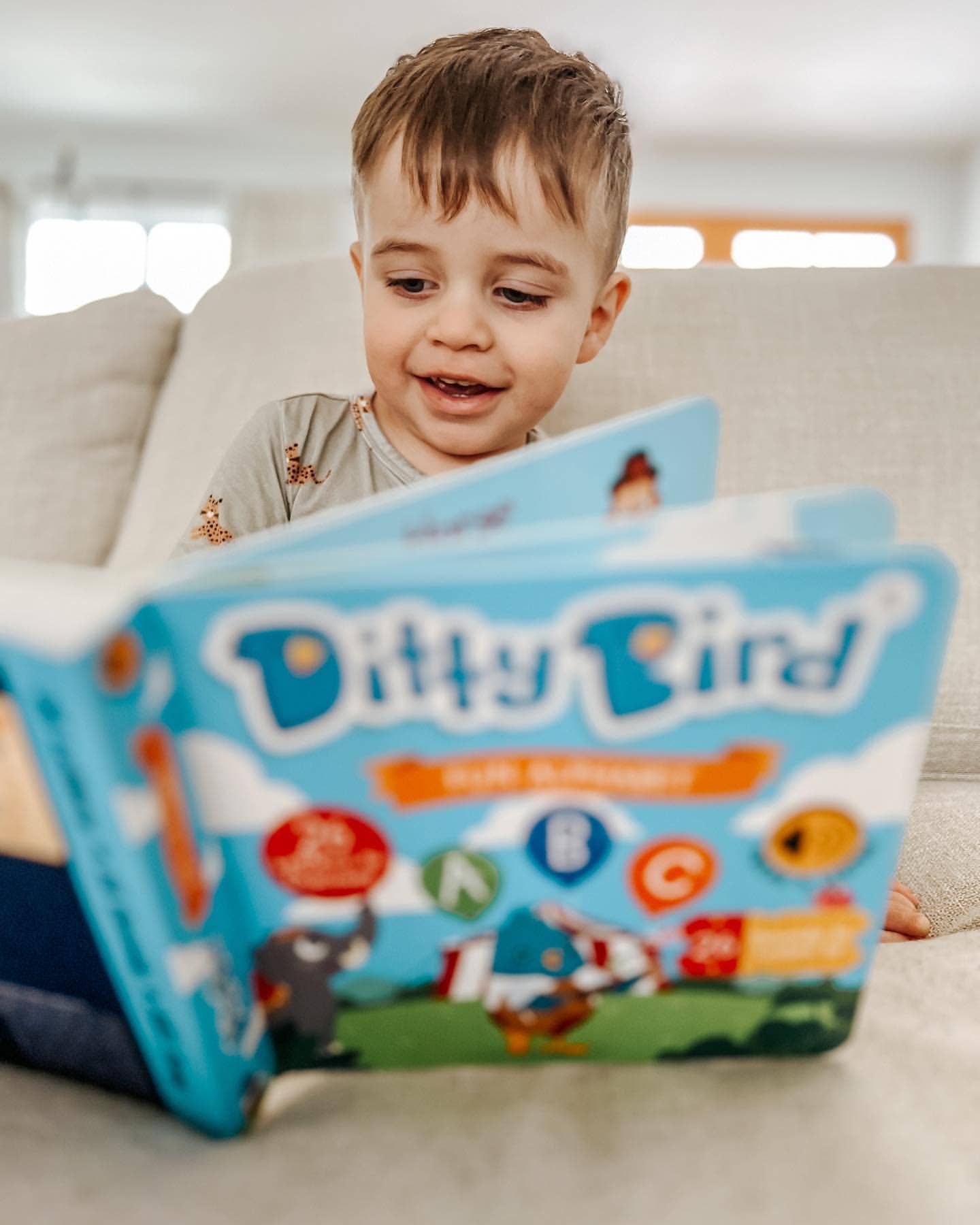 Ditty Bird - Wholesale Baby & Toddler Book (0-2) - Fun Alphabet | ABC Song | Ditty Bird Baby Sound Book USB-C16