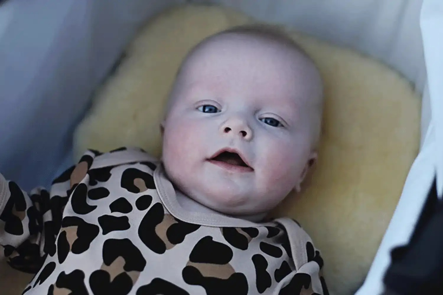 Sheepers – wholesale Pram cover/accessory – Merino Lambskin Baby Pram Liner6