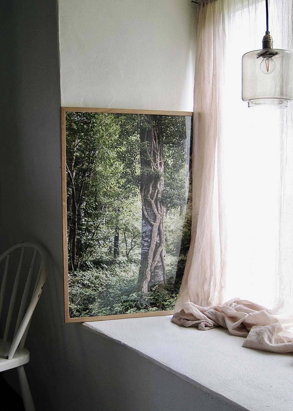 Foto Factory - Wholesale Art Print - Peace Forest2