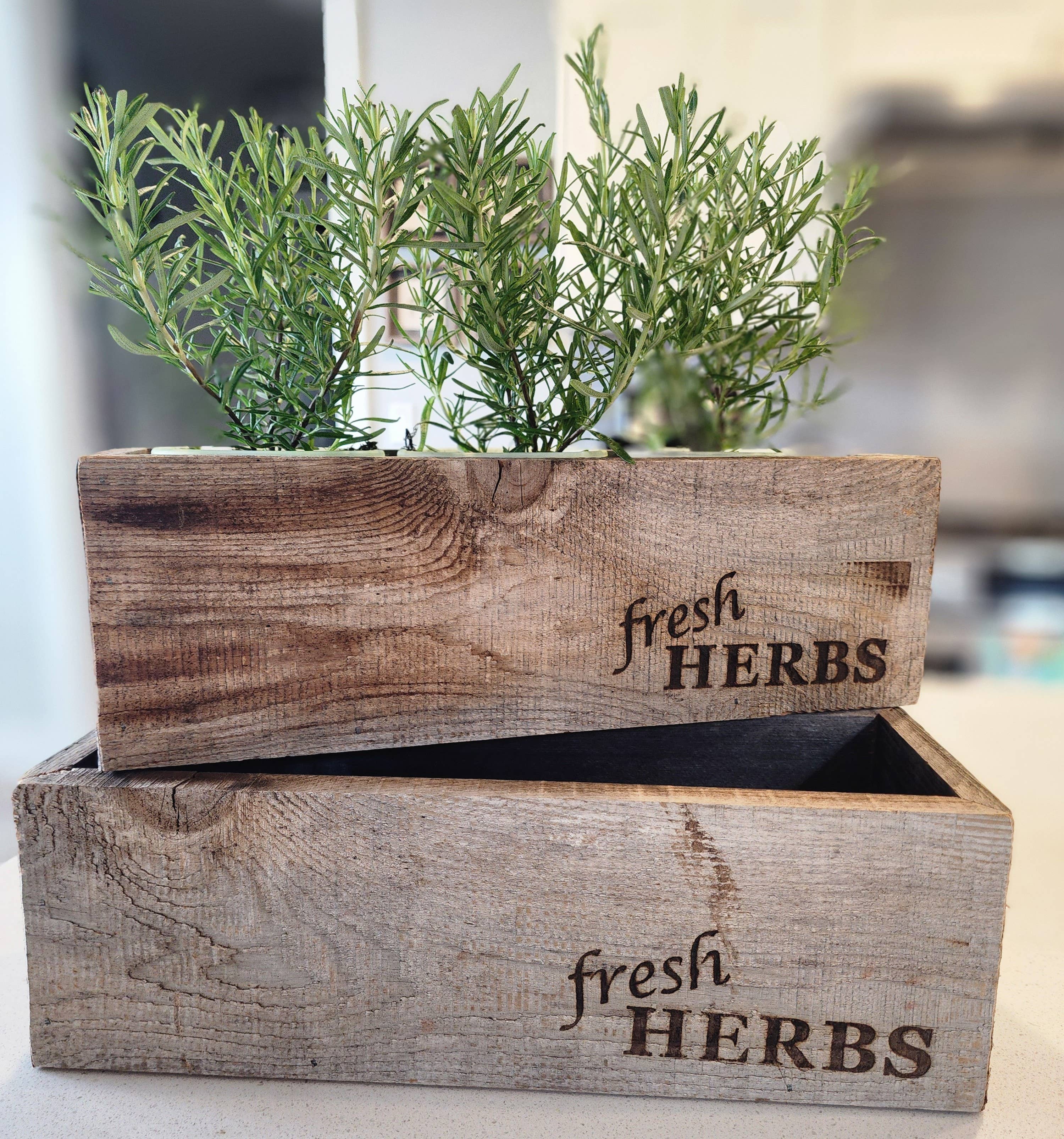 Love Reclaimed - Vente Jardinière - Jardinière rustique en bois récupéré pour herbes4