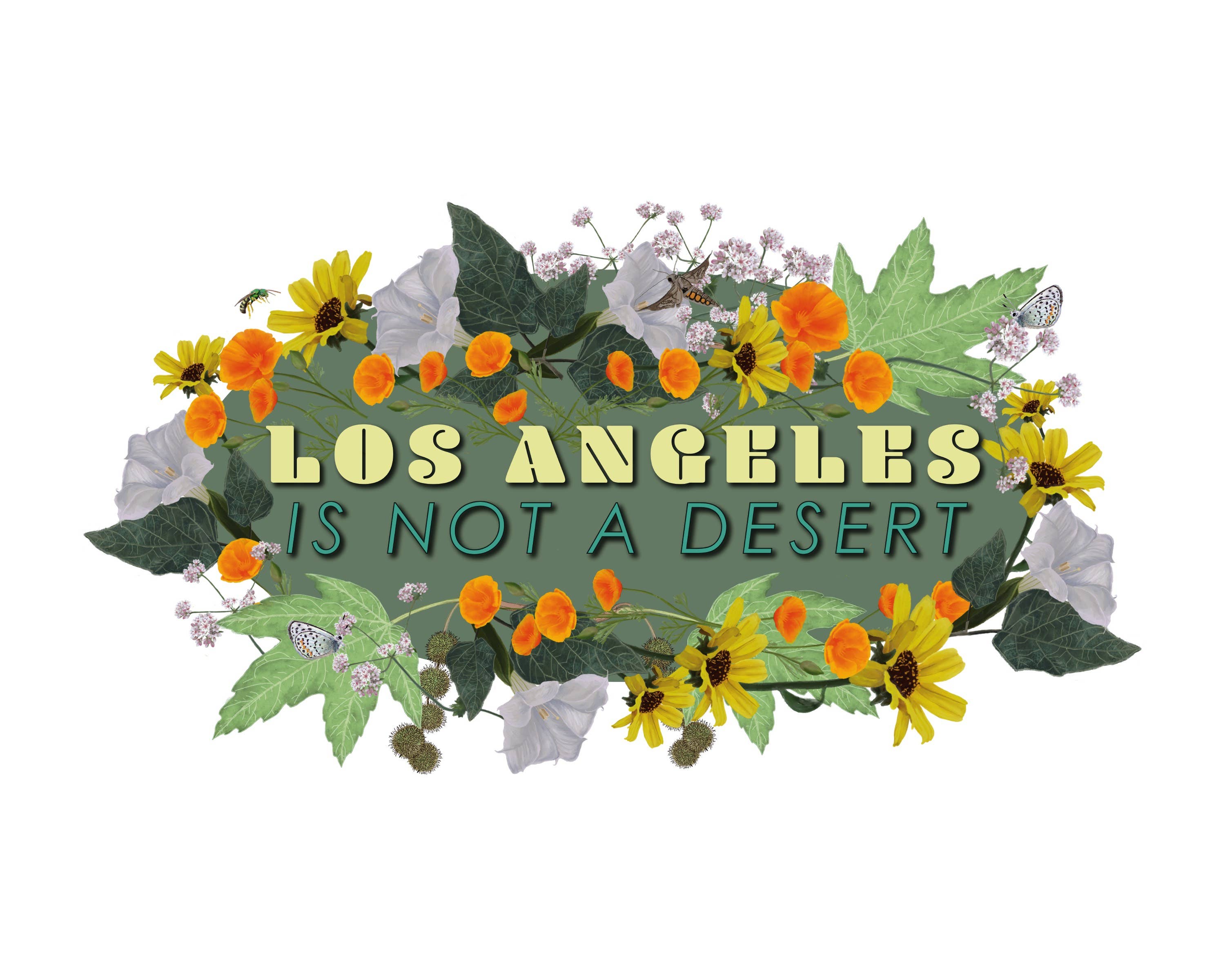 Autocolante de Vinil Truta Arco-Íris de Los Angeles B2B para a sua loja  Faire, image size:3000x2400