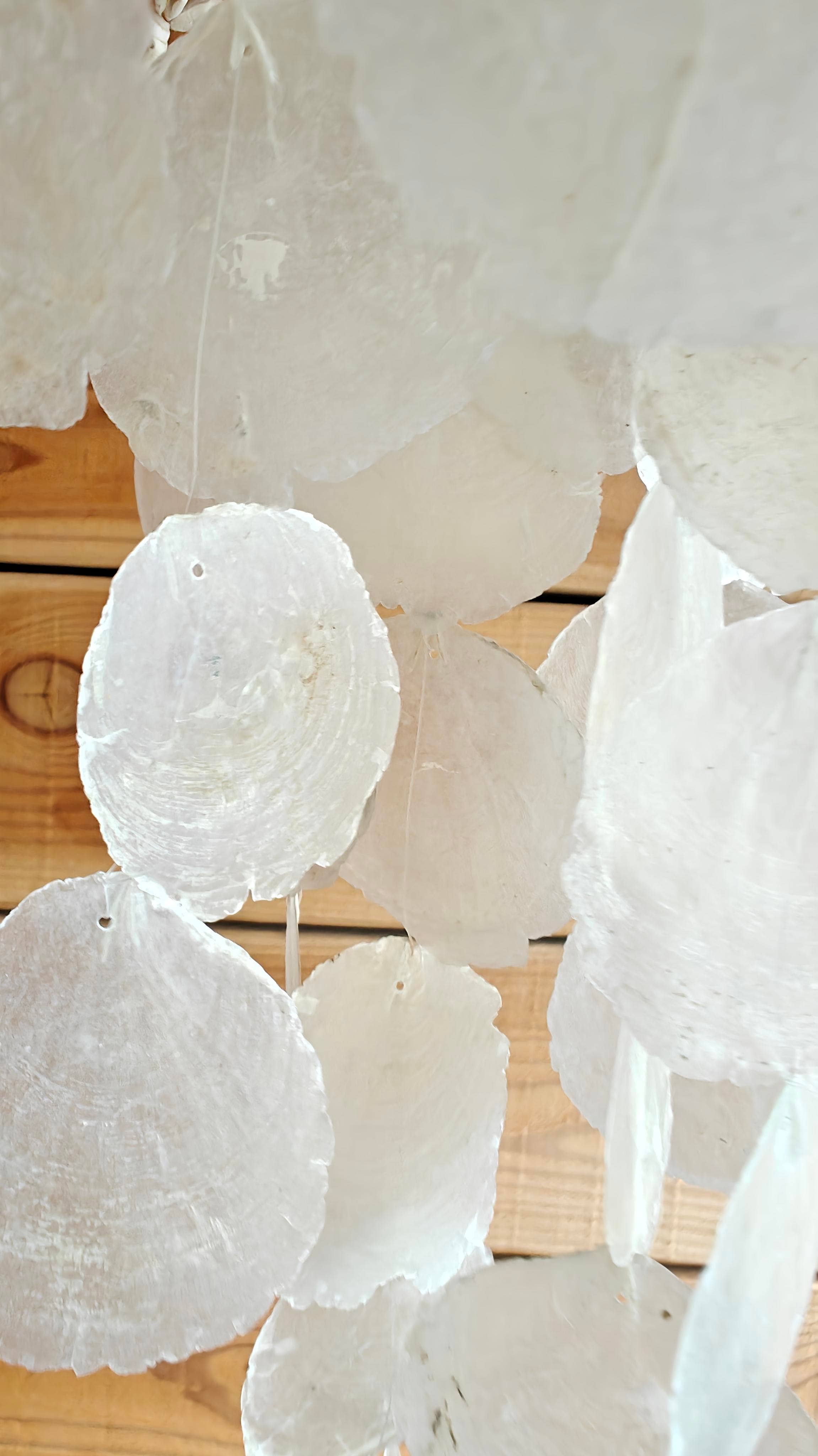 Product Import Holland - Wholesale Mobile - Lamp capiz Large - Ibiza - tropical - decoration - shells1