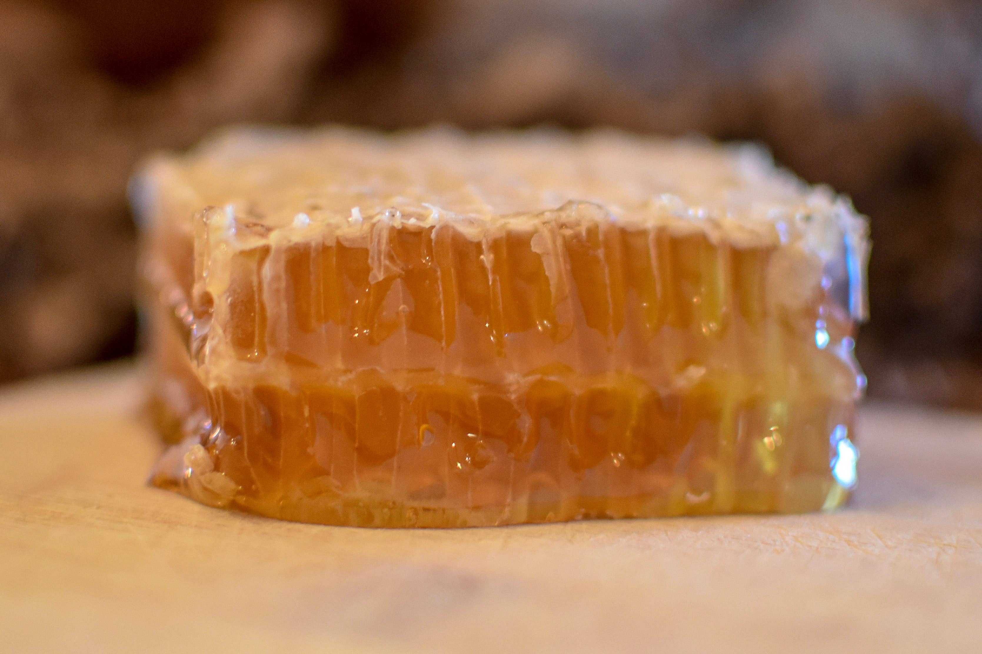 Bee Friends Farm - Wholesale Honey - Handcut Honeycomb Squares2