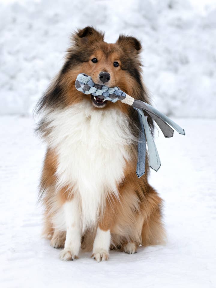 Jeans Comet de Mini&Brother - Unique, recyclé et ludique ! pour la vente par Mini&Bror