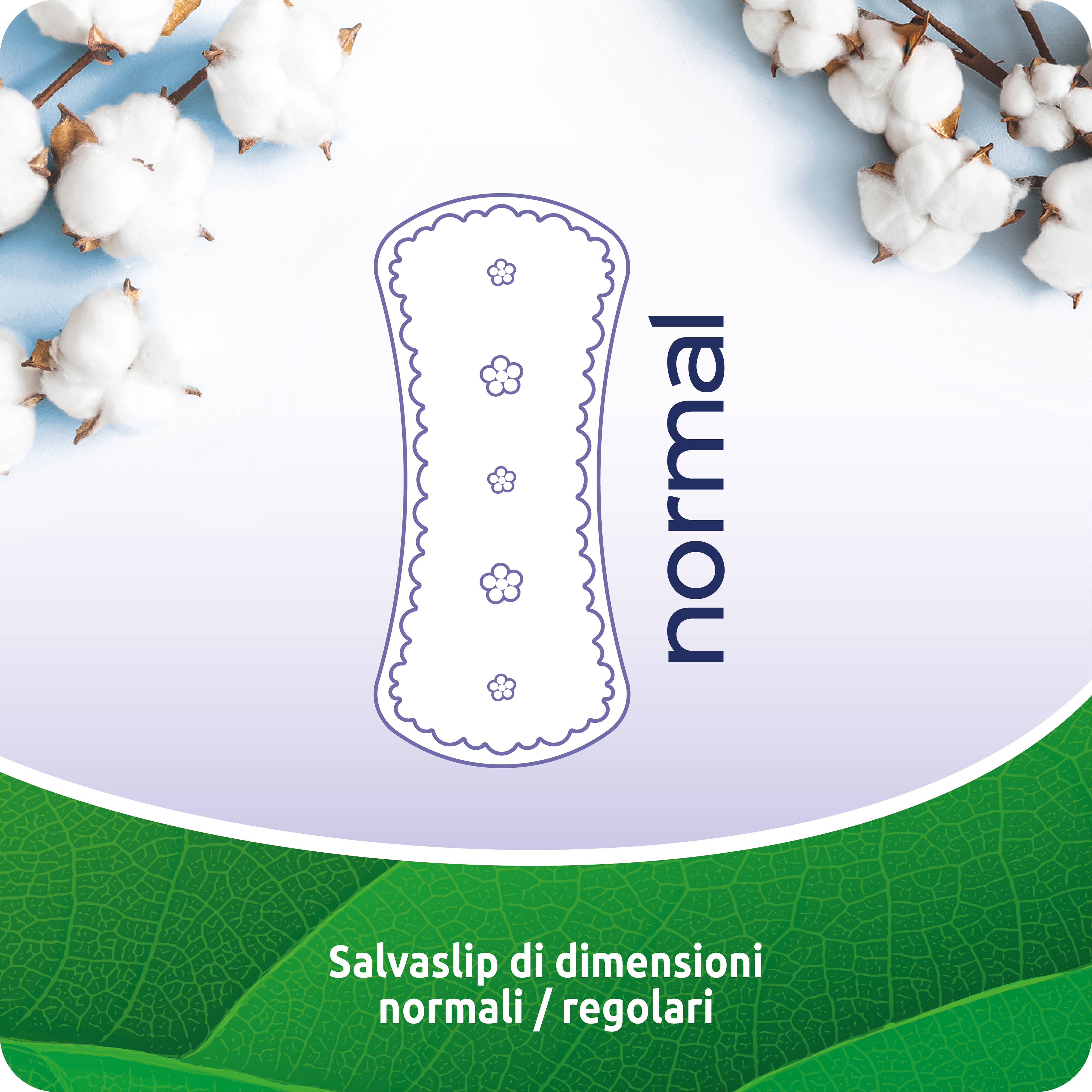 Babylino - Wholesale Menstrual Pad/Liner - Everyday All Cotton Pantyliner Normal in Cotton, 20 Units6