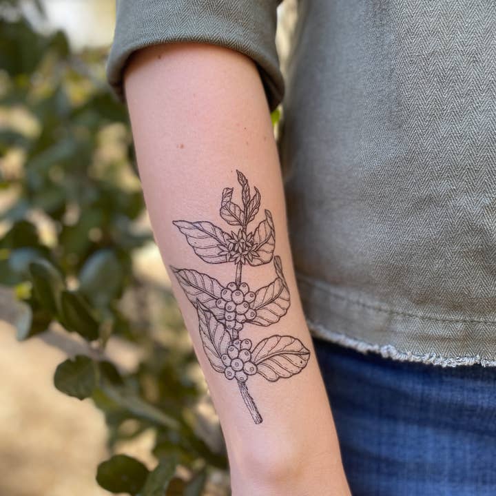 NatureTats - Wholesale Temporary Tattoo - Coffee Plant Temporary Tattoo4