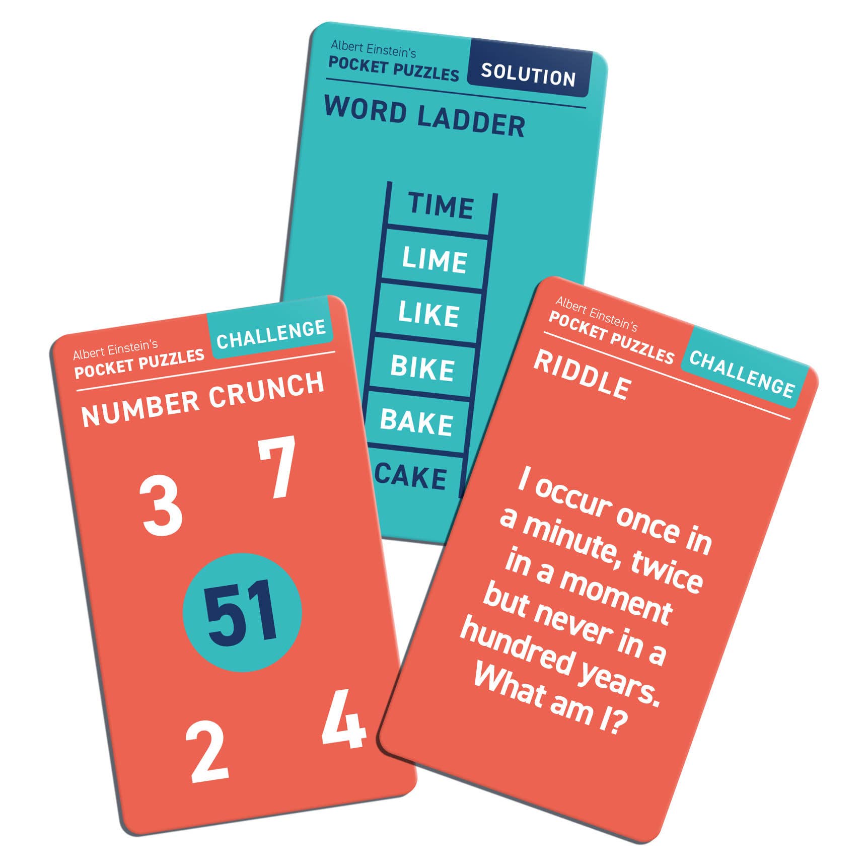 Professor Puzzle USA, Inc. - Wholesale Puzzle - Adult - Pocket Puzzles2